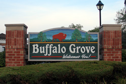 Local Village of Buffalo Grove Web Designer and Web Development Company